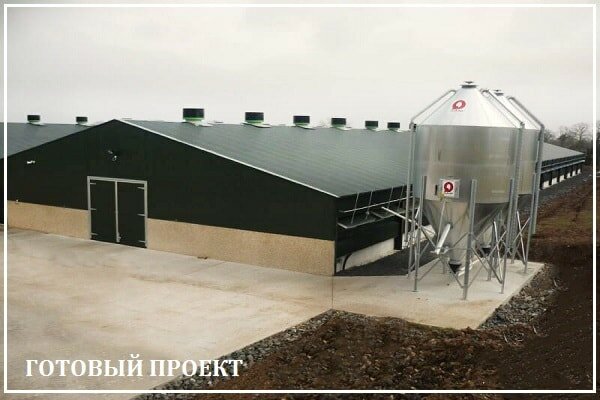Этапы возведения птицефабрики от завода ВелесТент-нгр